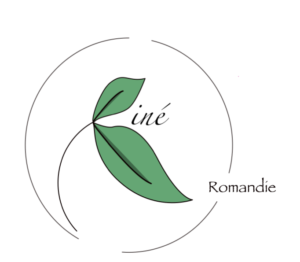 Kine Blog